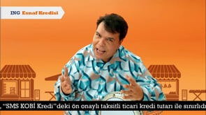 Ing Bank Balik Ayhan