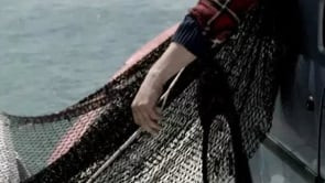 Ford Transit Fishing